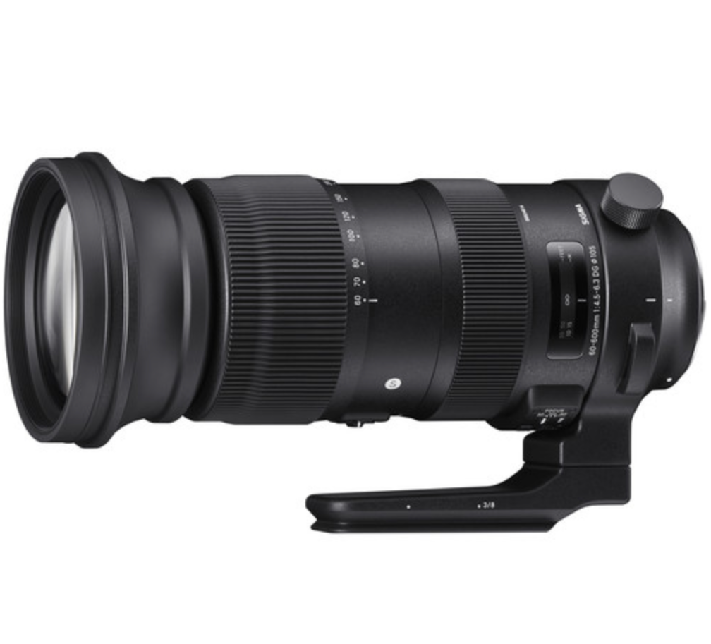 Sigma Sport 60-600mm f/4.5-6.3 OS DG HSM Lens (Nikon F mount)