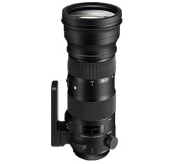 Sigma Sport 150-600mm f5-6.3 OS DG HSM Lens (Nikon)