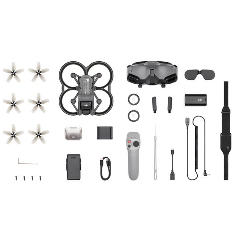 DJI Avata Pro View Combo (w/ Goggle 2)