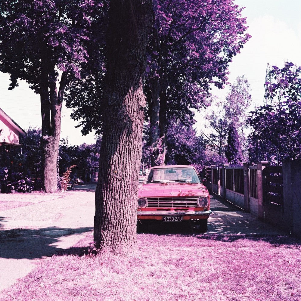 Lomography LomoChrome Purple XR 100-400 Color Negative Film - 120 Film