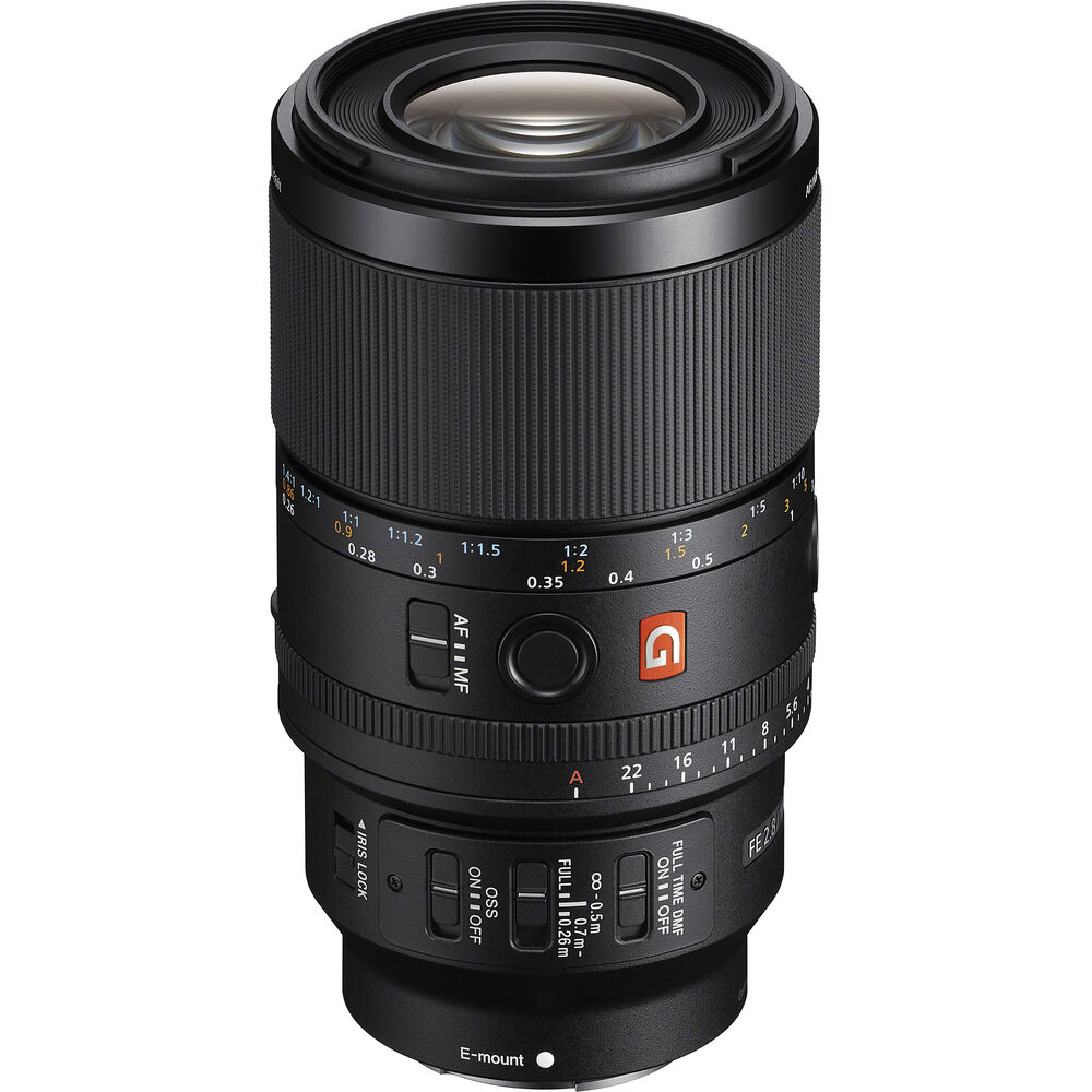 Sony FE 100mm f2.8 Macro GM OSS